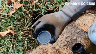 How to Cap a Sprinkler Head [upl. by Nilek]