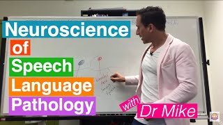 Neuroscience of Speech Language Pathology SLP [upl. by Liane]