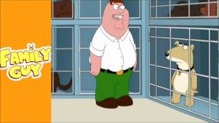 Family Guy New Dog Vinny [upl. by Enomis]