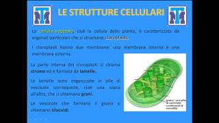 Test Medicina 2022 Biologia  La cellula come base della vita [upl. by Sparrow]