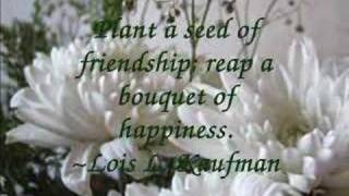 Inspirational Friendship Quotes [upl. by Emelda530]