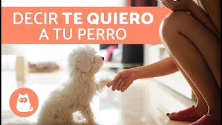 7 MANERAS DE DECIRLE A UN PERRO QUE LO AMAS [upl. by Yatnahs]