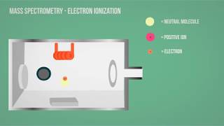 MS  Mass Spectrometry  Electron Ionization Animation [upl. by Ecinna]