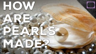 How Are Pearls Made [upl. by Thomsen]