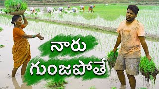 Village paddy farming  my village show sankranti special comedy [upl. by Haroldson]