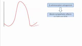 Class II antiarrhythmics [upl. by Nawd]