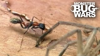 Epic Ant Battles 2  MONSTER BUG WARS [upl. by Eniamahs]