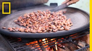 Watch the Ancient Art of ChocolateMaking  National Geographic [upl. by Fraser]