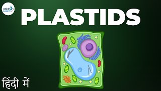 Cells  Lesson 14  Plastids  in Hindi हिंदी में   Infinity Learn [upl. by Eelnodnarb]