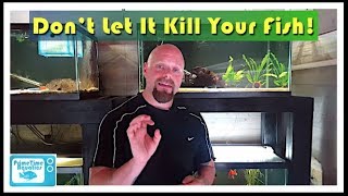 How to Lower Nitrites in an Aquarium [upl. by Spring]