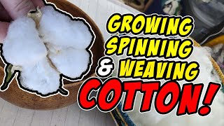 Growing Spinning and Weaving Cotton [upl. by Claman]