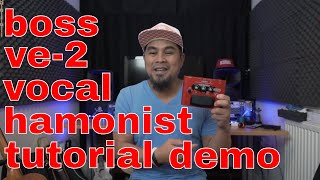 BOSS VE 2 VOCAL HARMONIST TUTORIAL  DEMO [upl. by Nihi]