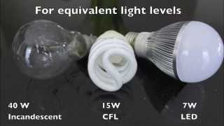 LED vs CFL vs Incandescent A19 Light Bulbs [upl. by Cote863]