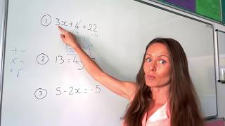 The Maths Prof Solving Linear Equations part 1 [upl. by Collbaith24]