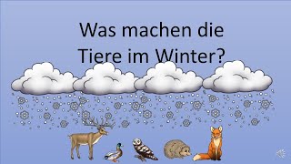 Tiere im Winter [upl. by Chamberlain927]