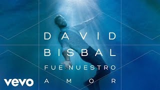 David Bisbal  Fue Nuestro Amor Audio [upl. by Ecirahs]