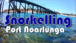 Snorkelling at Port Noarlunga South Australia [upl. by Barbarese976]