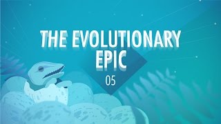 The Evolutionary Epic Crash Course Big History 5 [upl. by Christensen506]