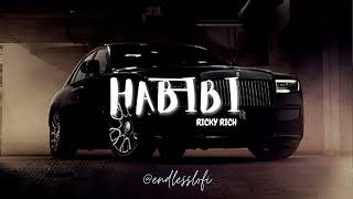 HABIBI I RICKY RICH  LOFI  SLOWED [upl. by Gib]