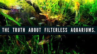 Creating A FILTERLESS AQUARIUM Using Anoxic AND Aerobic Bacteria How to Setup A Natural Fish Tank [upl. by Atinid230]