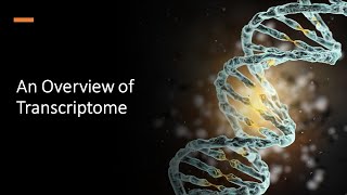 An Overview of Transcriptome [upl. by Onairotciv21]