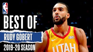 Rudy Gobert 201920 Full Season Highlights [upl. by Ahsilat]