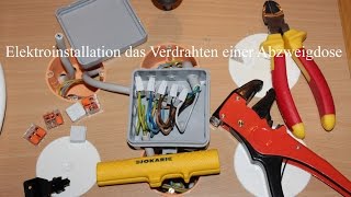 Elektroinstallation das Verdrahten einer Abzweigdose [upl. by Ataymik665]