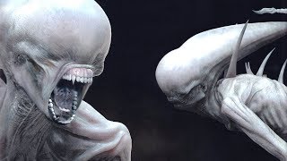 The NEOMORPH Explained [upl. by Tergram622]