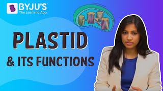 Plastid and its Functions [upl. by Aivital]