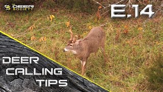 Deer Calling Tips  E14 SnortWheeze [upl. by Calvin]