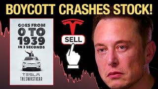 Worldwide Elon Musk Backlash CRASHING Tesla Stock [upl. by Aila]