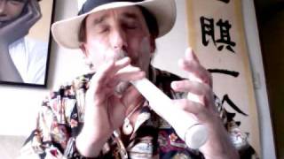 Xaphoon Pocket Sax Demo Lesson 2 Playing a Scale [upl. by Veneaux499]