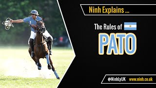 The Rules of Pato Horseball  EXPLAINED [upl. by Loggins538]