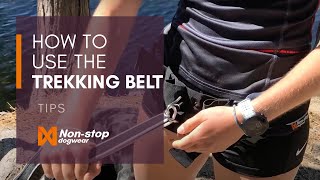 How to adjust and use the Nonstop dogwear Trekking belt [upl. by Dahc]