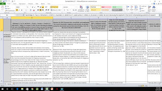 How to Create a Literature Matrix Excel [upl. by Henrik]