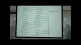 INTRO TO HUMAN ANATOMY PART 2 by Professor Fink [upl. by Accalia]