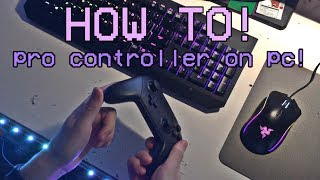 How To PROPERLY Setup The Nintendo Switch Pro Controller on PC [upl. by Bottali819]