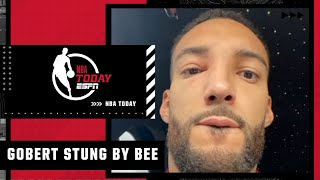 Rudy Gobert STUNG BY A BEE 🐝  NBA Today [upl. by Adym627]