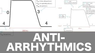 Antiarrhythmic Pharmacology [upl. by Ived]