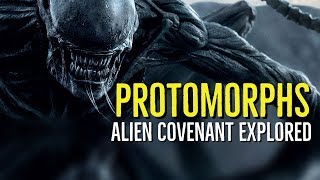 PROTOMORPHS ALIEN COVENANT Explored [upl. by Dnalhsa]