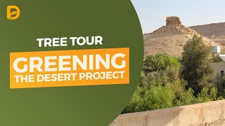 Greening the Desert Tree Tour [upl. by Nnaycart]