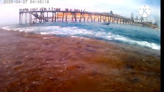 Snorkeling Port Noarlunga Reef Fleurieu Peninsula South Australia [upl. by Ardel]