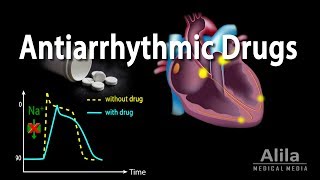 Antiarrhythmic Drugs Animation [upl. by Liarret]