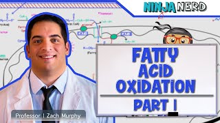 Metabolism  Fatty Acid Oxidation Part 1 [upl. by Salomo92]