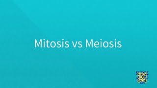 Mitosis vs Meiosis SUPER SIMPLE [upl. by Llehsim27]