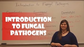 Introduction to Fungal Pathogens [upl. by Neiviv]