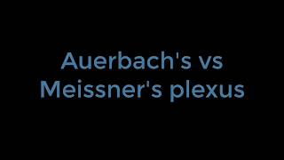 Lumbar Plexus  Everything You Need To Know  Dr Nabil Ebraheim [upl. by Norabel961]