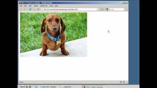 How to Insert an Image in a Webpage HTML  XHTML [upl. by Ellennaj]