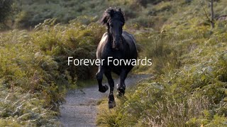 Lloyds Bank  Forever Forwards  Behind the Scenes [upl. by Murtagh917]