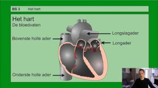 VMBO HAVO 2  De bloedsomloop  Basisstof 3 Het hart [upl. by Lorenz580]